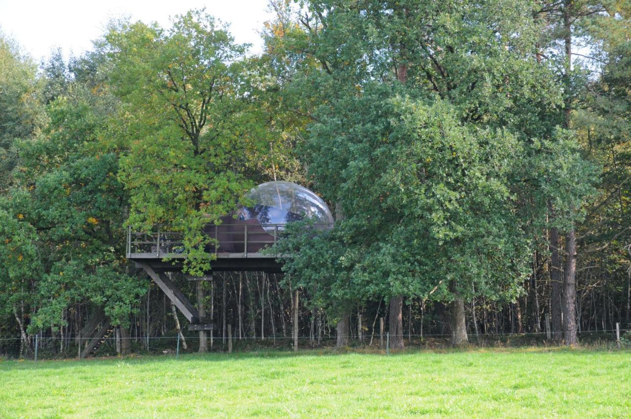 Sphair Perchee Hotel Fisenne Exterior photo